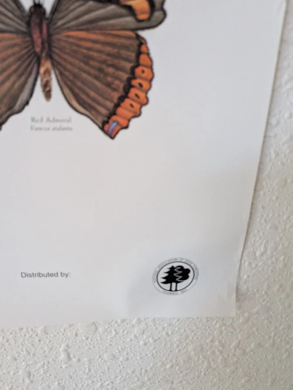 Vintage Butterfly Smokey Bear Poster 20x30